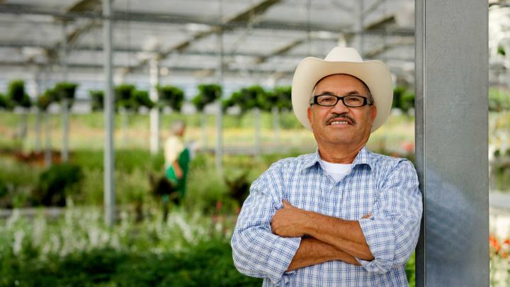 man in a greenhouse