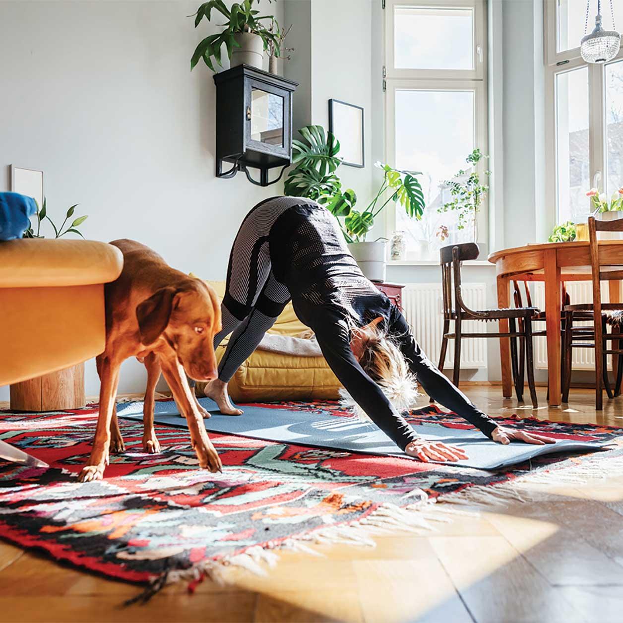 A person practices a yoga pose next to their dog, who mimics the pose