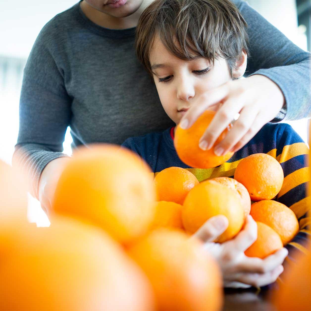A parent and child gather oranges