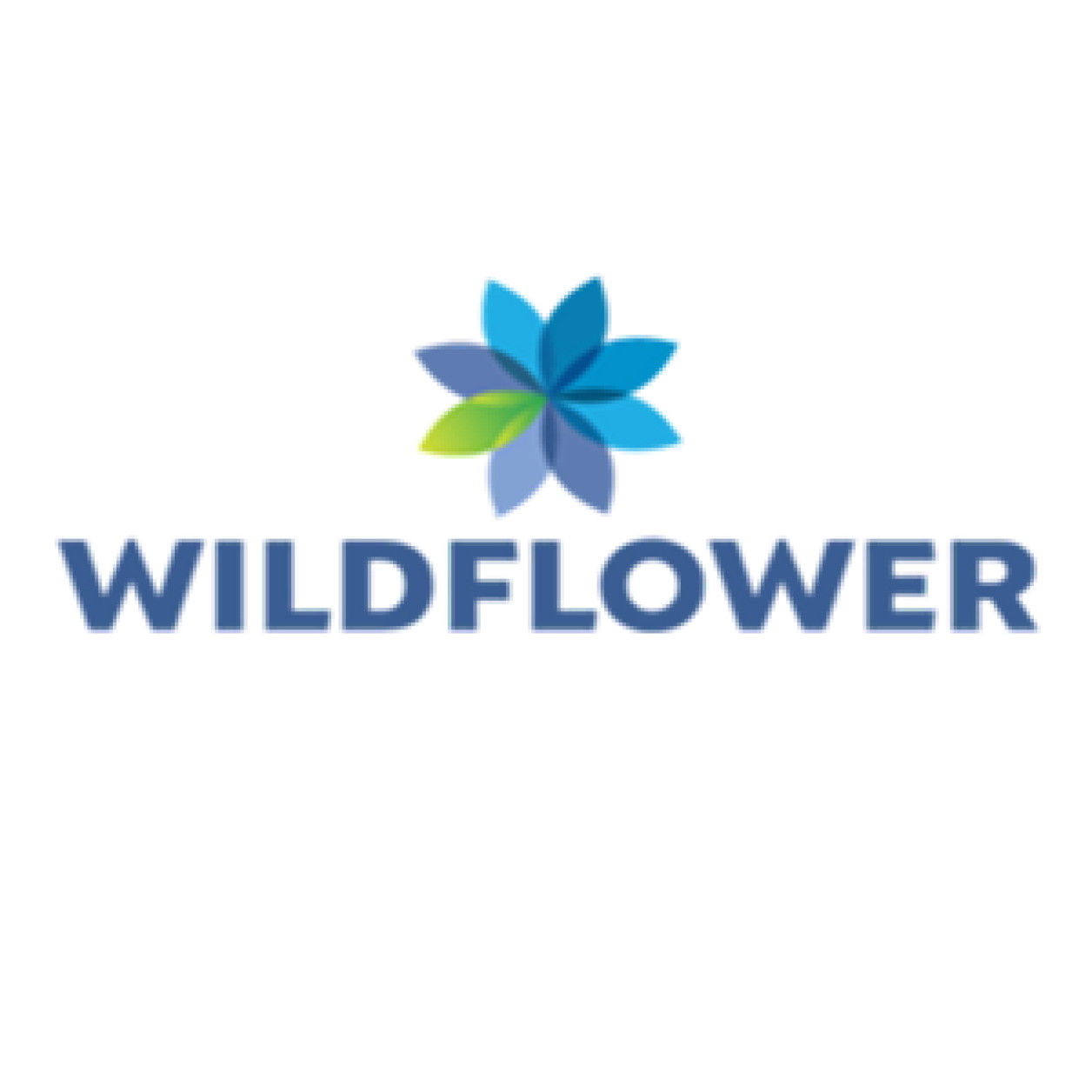 Wildflower