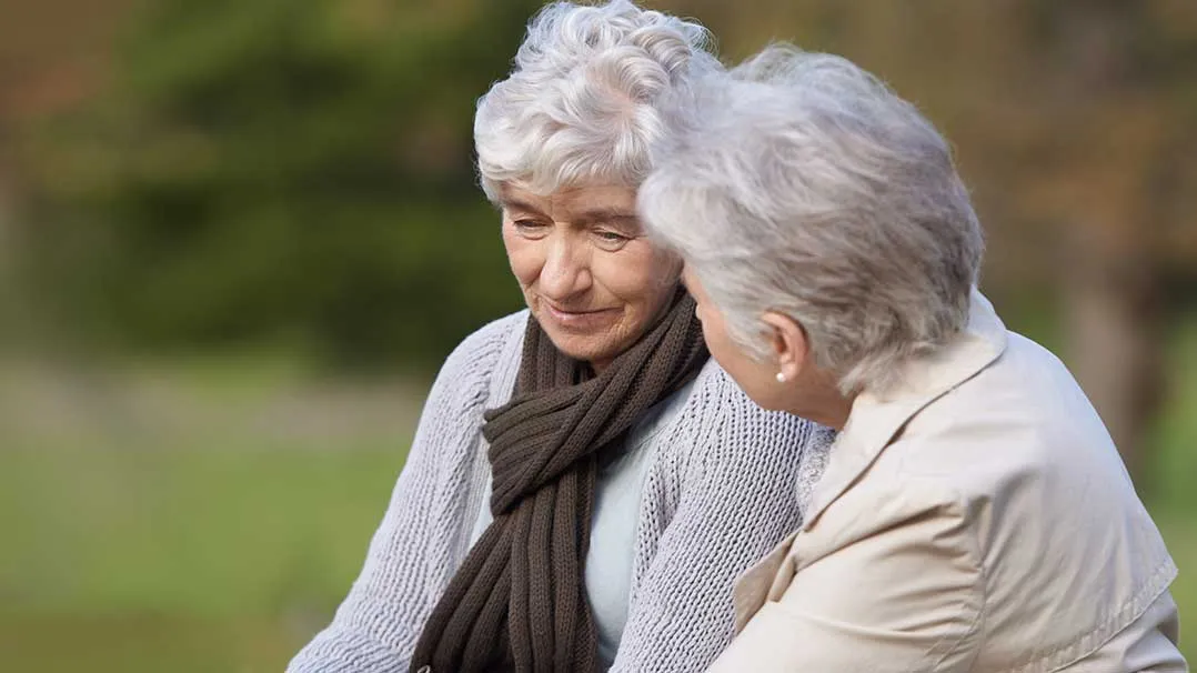 Elderly people sit together in a park