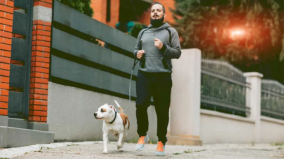 a man walks a dog