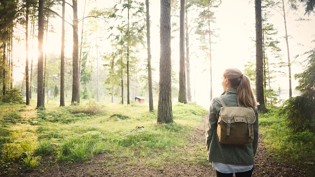 Sunlight streams through the trees while a woman walks in a forest
